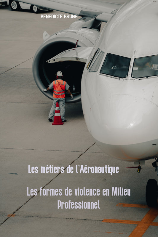 LES MÉTIERS DE L'AÉRONAUTIQUE-LES FORMES DE VIOLENCE EN MILIEU PROFESSIONNEL